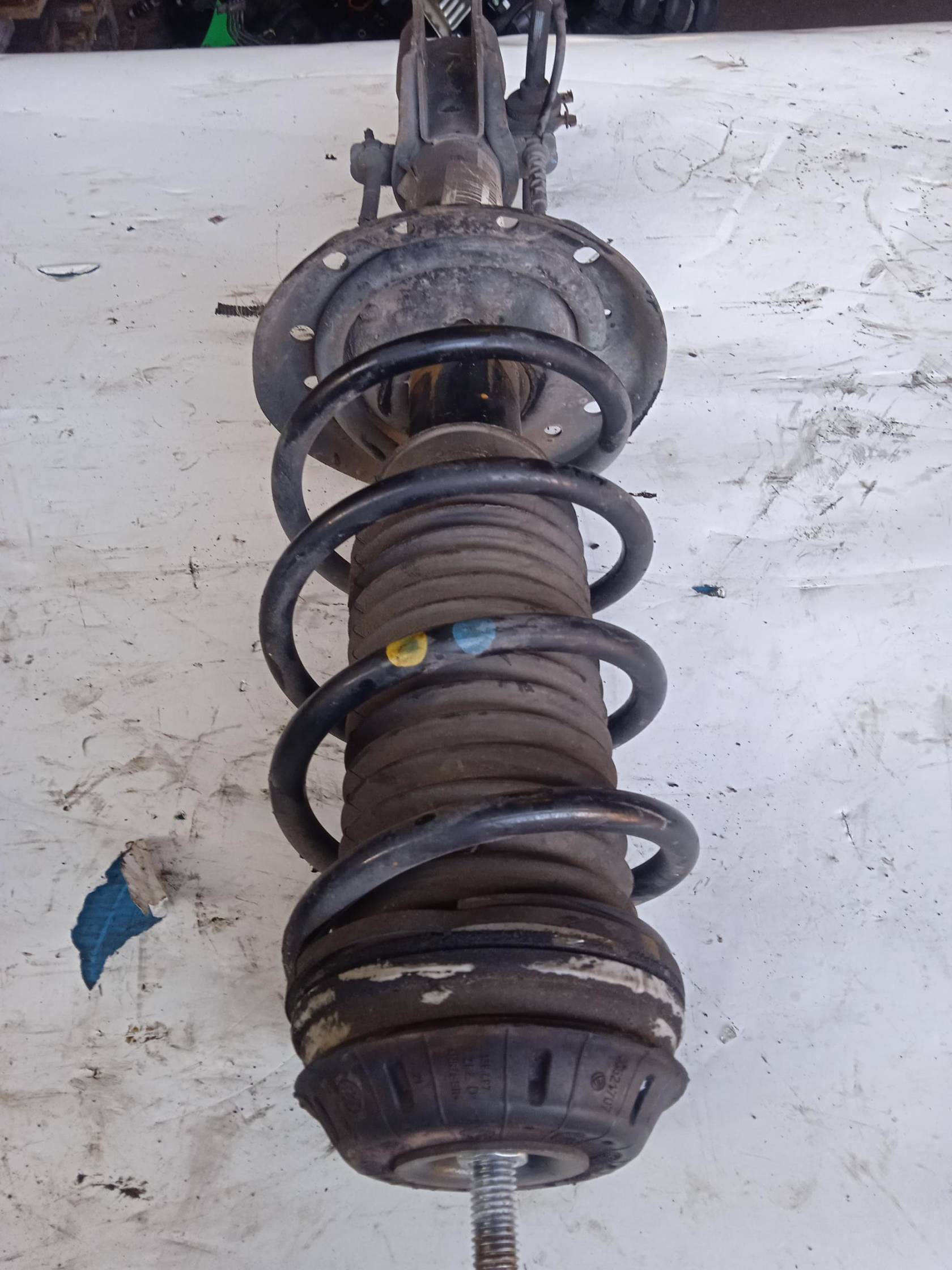 Ammortizzatore ant. sx.